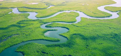 Revolutionerande jordbruksbevattning: Rollen för PVC-rör och rördelar